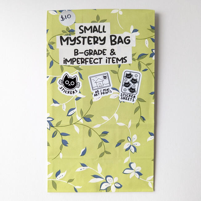 Mystery Bag, Small (B-Grade Items)