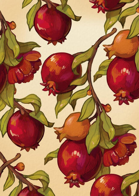 Pomegranate (A5)